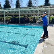 A man cleaning the pool